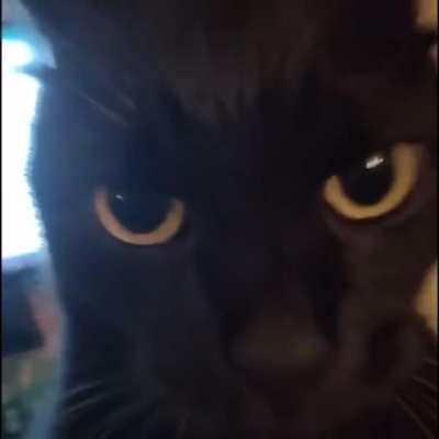 wunko will no longer tolerate wiwi 