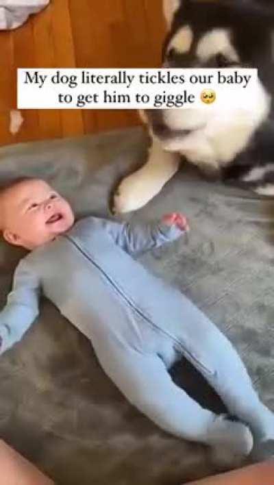 This is too cute 🥰