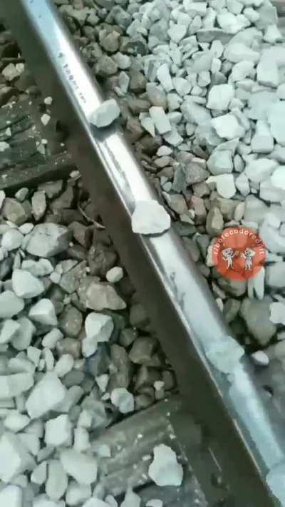 ð±ð±ð±