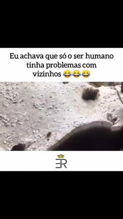 E eu achando que só acontecia cmg...