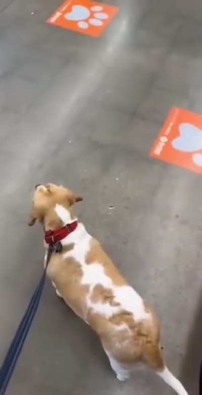 Weirdest Fucking response to being called fat…🤣