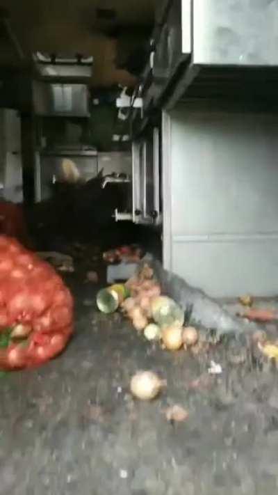 🇺🇦🇷🇺⚡️Ukrainian Territorial Defense captured a Russian army mobile field kitchen.