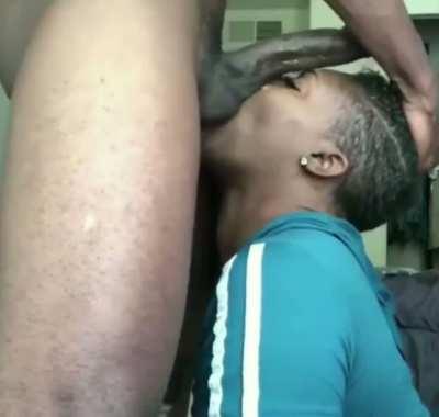 Flew her out to fuck her face