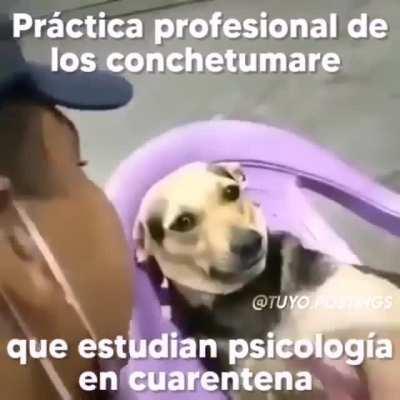 Mi primer video en esta bella comunidad