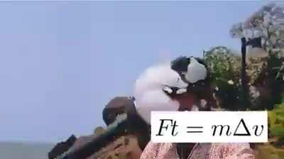 Clear your concepts of physics! (strictly for science students)