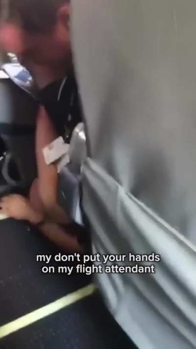 Pilot defends flight attendant from drunk passenger