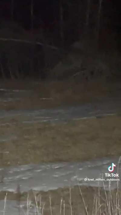 what do you think this could be?