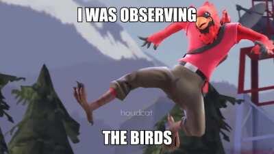 Always uber the scout mains caw caw