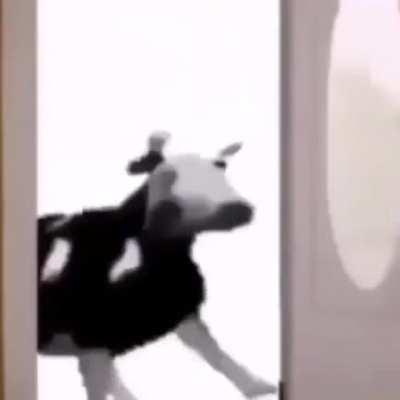 Día x intentando que el viejas me quite el ban de discord, tengo fe