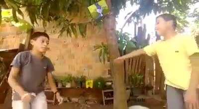 esse tigre ai é brabo mermaozin