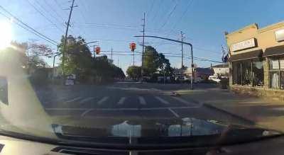 Driving through a red because it skipped yellow - who’s the idiot