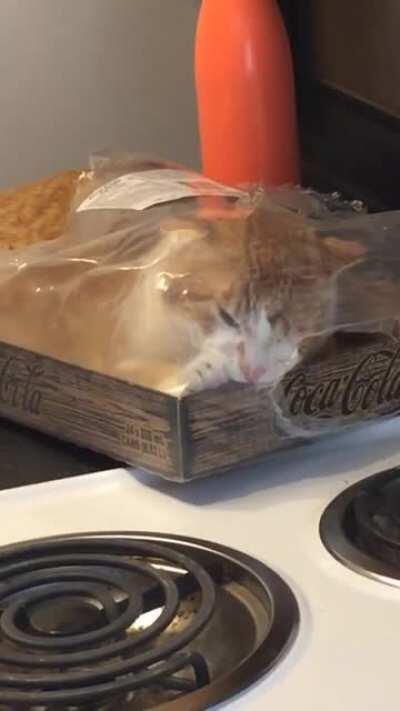 He’s not stuck, I don’t have any explanation...