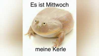 ich🇩🇪iel