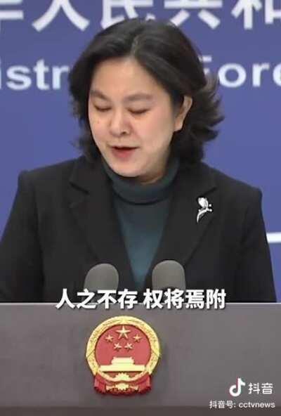 发现有意思的事，这些外交战狼通常骂别人的话，反过来刚好又能套用在自己国家身上，可以说是完美契合。我一度怀疑春春在反串~