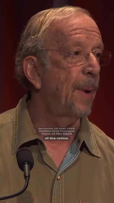 Plants may have consciousness more similar to ours than wr preciously realised.