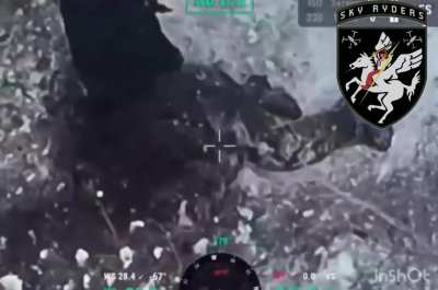 UA 116th Mechanized Brigade's 