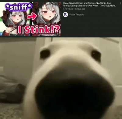 Cursed sniffing