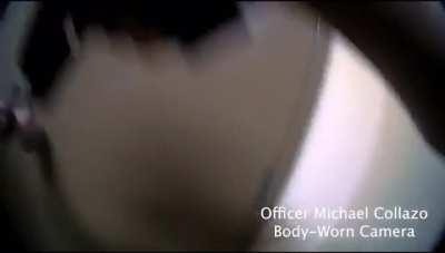 Tennessee Christian Elementary school shooter apprehension