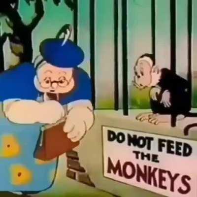 Muquinha é um bom seguidor das leis