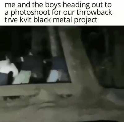 lowest lofi, elitest elites