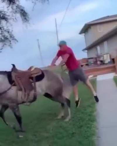 The price for dumbest climb onto a horse is won by this man