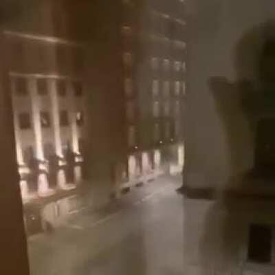 Hundreds of birds dying in Rome scared by the fireworks