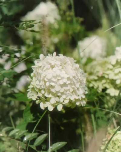 251013 Yujin - Harper's Bazaar Korea X Lacoste (October 2025 Moving Cover)