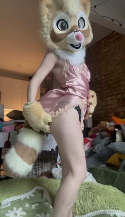 where are you gonna put your paws first?