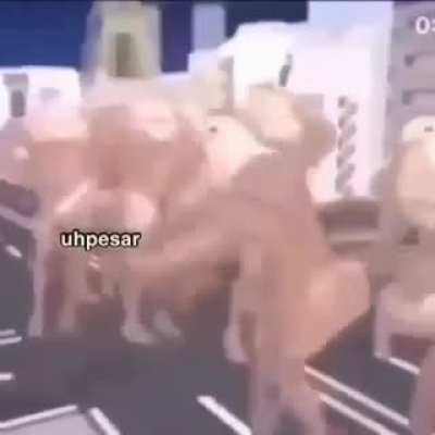 پست کوص و شر