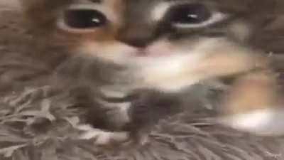 I don’t think anyone has posted this before