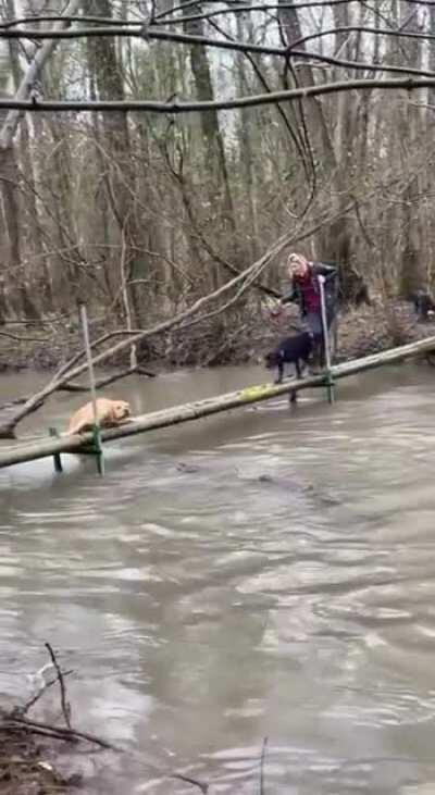 Hold on! I'm gonna help you.