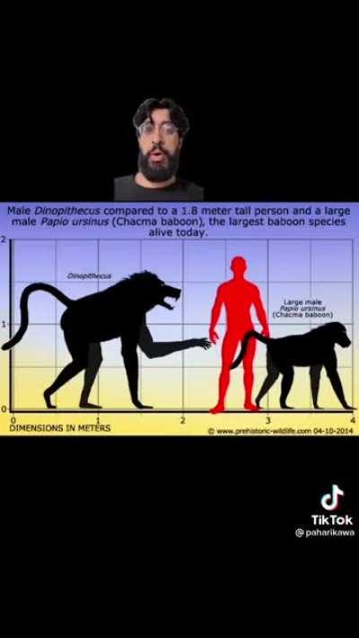 Imagine these still existed