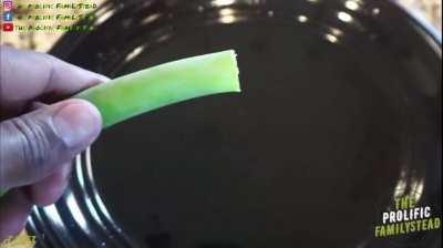 Making your own ONION powder in 1 Minute