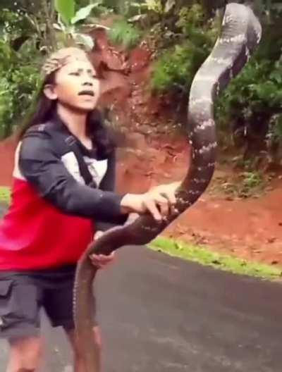 Catching a snake
