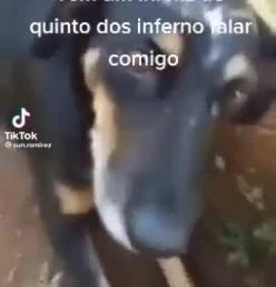 MoaiGreddit - Video #7046