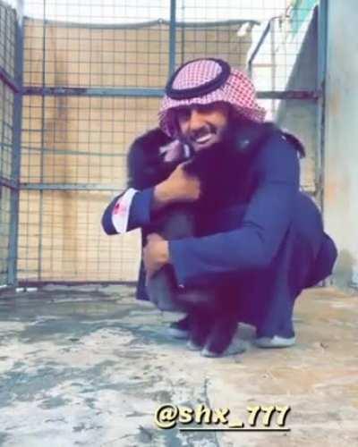 Stop these brotherly wars 🇸🇦🤝🇮🇷