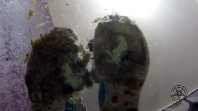 Trying to build karma, enjoy