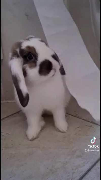 Naughty ever since she was a baby