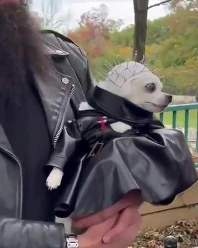 Estoy listo para la maldad...