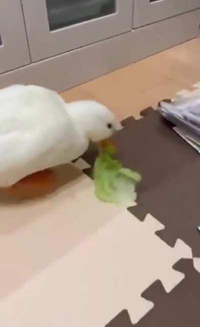 Nao sei se ja postaram isso antes ou se o Luba viu mas....Sla muito fofo._.