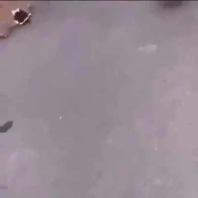 FightsGoneWildpt2 - Video #1837