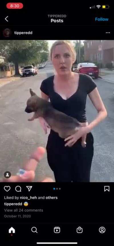 What a lovely dog owner