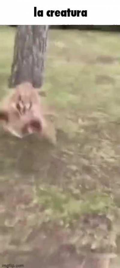 La creatura