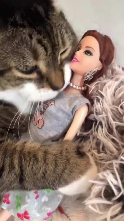 This cat is very fond of its Barbie doll
