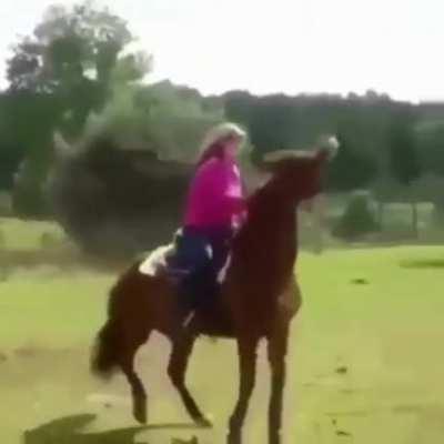 Guess what they broke