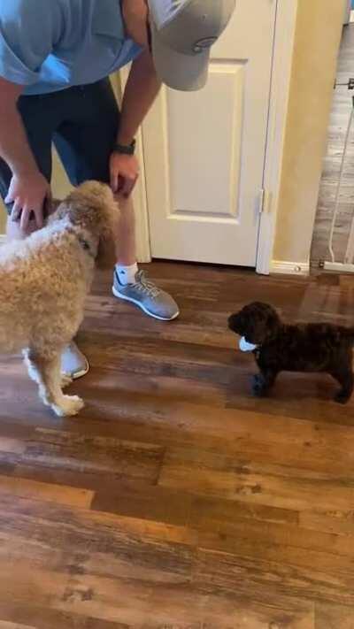 Charlie... meet Jack!