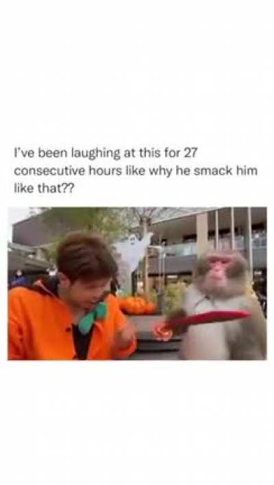 I’ll do it better 😂🐵