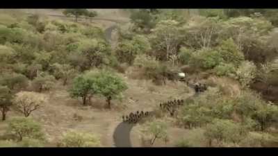 Amazing NDA Khadakwasla Song #BharatMaaTujheSalaam Commemorates 75 yrs of academy inception! It reflects the ethos & camaraderie and reinforces the dedication of #ArmedForces to the nation. Jai Hind