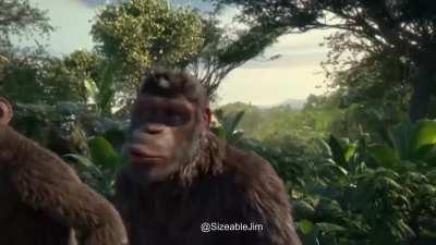 When the wife leaves but you have banana