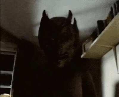 Colthes during 3 AM at the dark be like: